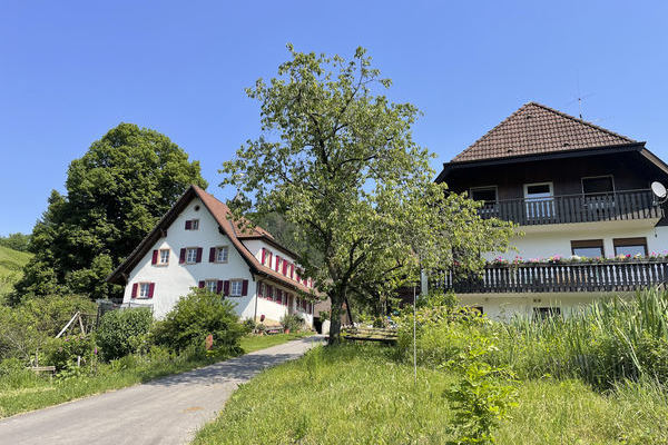 Sdseite oberer Balkon - Ferienwohnung "Kpfle"