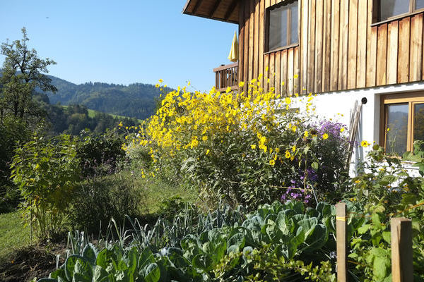 Seitenansicht Gstehaus mit Sdbalkon -  Ferienwohnung "Trle"