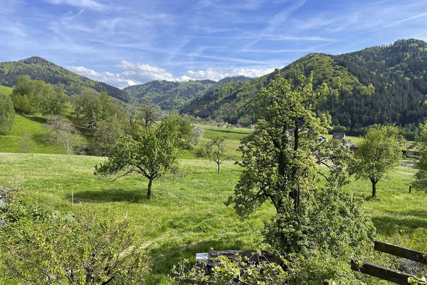 Ausblick vom Balkon der Ferienwohnung "Trle"