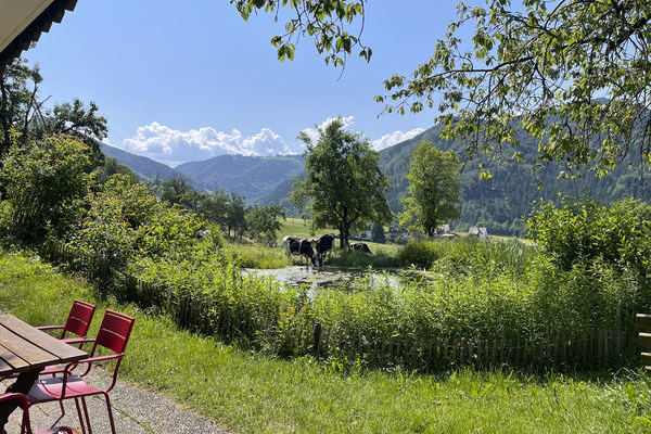 Blick von der Terrasse 