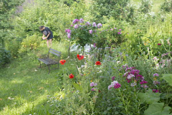 Johanna am Beeren ernten