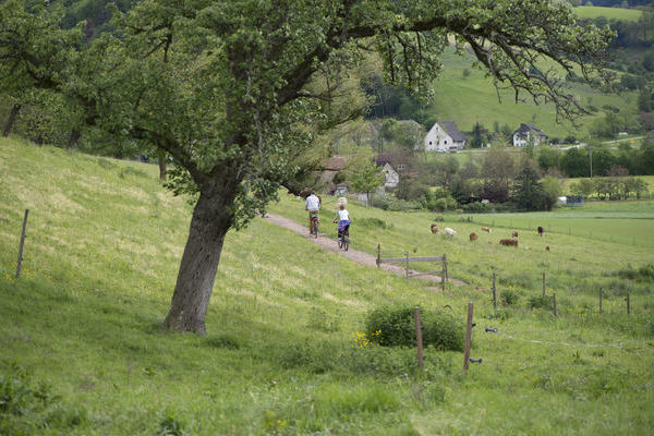 Radtouren und Spaziergnge durch's Glottertal