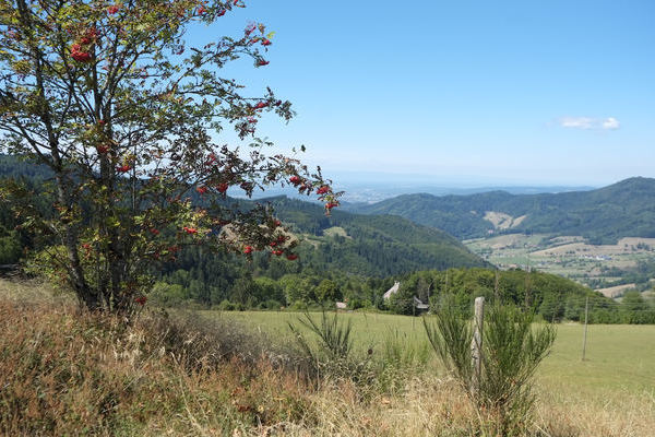 wandern in St.Peter ... Richtung Glottertal