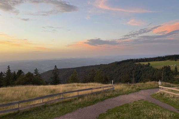 Abendstimmung auf dem Kandel genieen