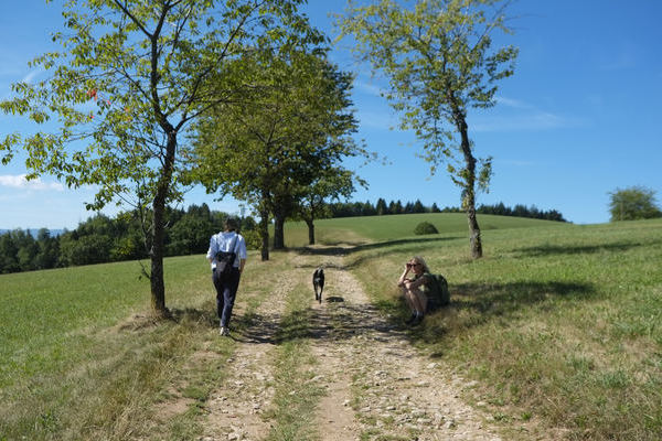 viele Wanderwege fhren zum Ziel